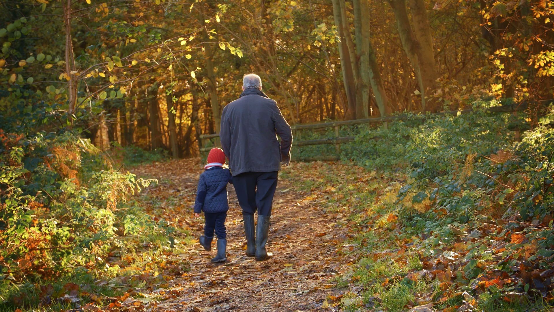 A person and a child walk along a leaf-covered path in a wooded area, bathed in sunlight.