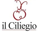 HOTEL IL CILIEGIO-LOGO