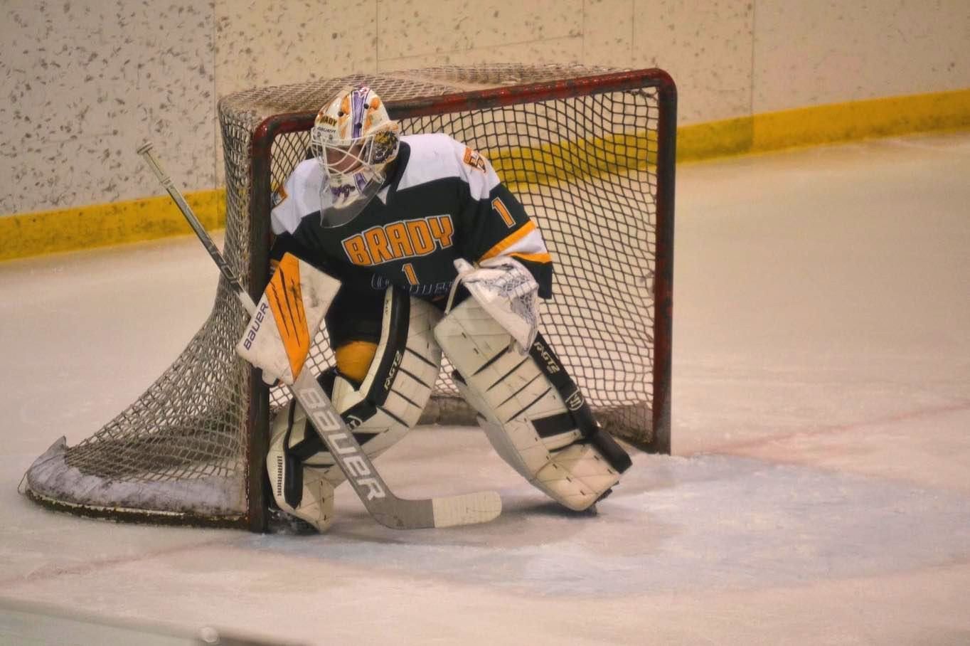 image of hockey goalie in a net on the ice 