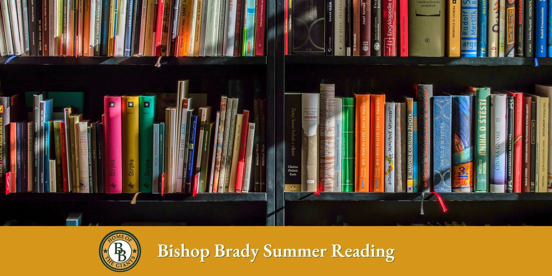 image of books in a library on a shelf