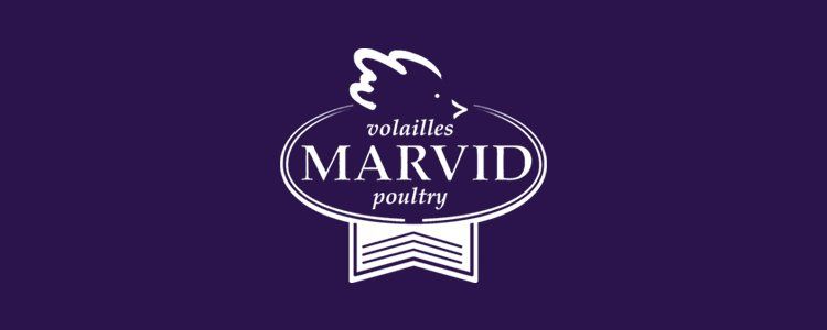 Marvid logo