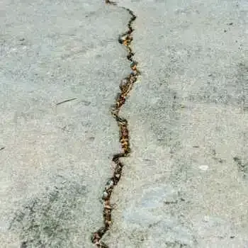 Concrete Driveway Crack Repair Dunedin