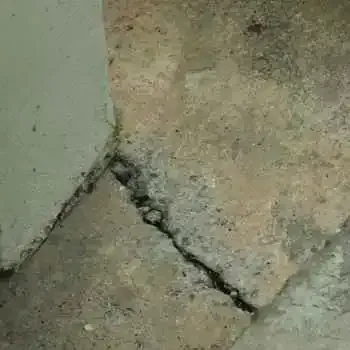 Concrete Foundation Crack Repair Services Dunedin
