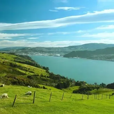 Dunners Concrete - Your Dunedin Concrete Path Specialists.