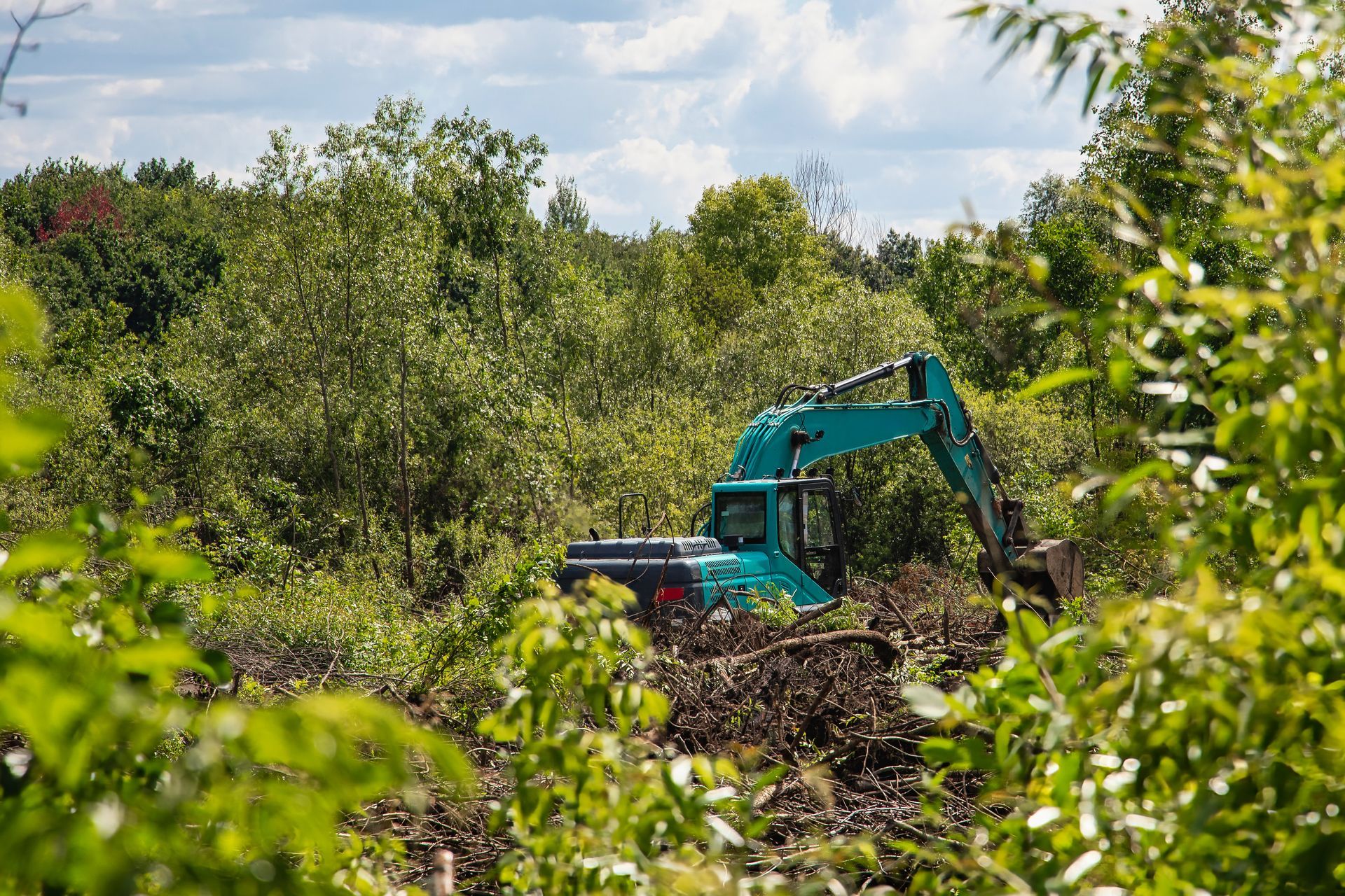 Blue excavator clearing brush in a wooded area under a partly cloudy sky. Blue excavator clearing brush in a wooded area under a partly cloudy sky.
