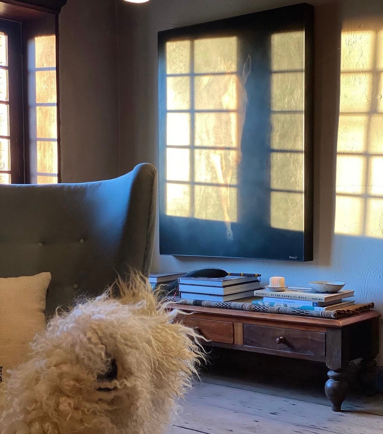 Felted fleece rug draped over a chair in a moody Hudson Valley, New York home, photographed by Diani Boutique.