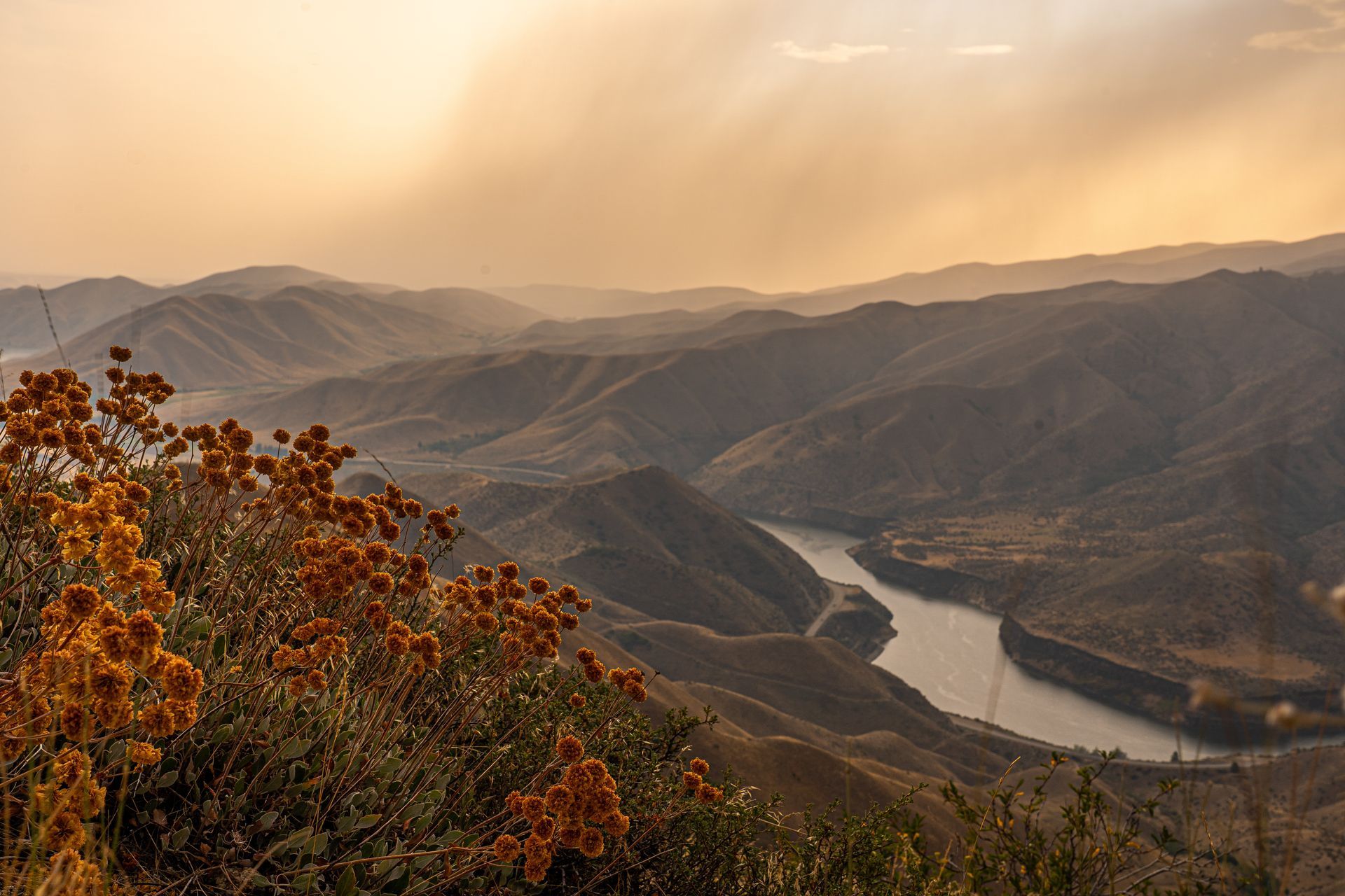 Golden sunrise over a winding river valley framed by autumn trees and layered mountains