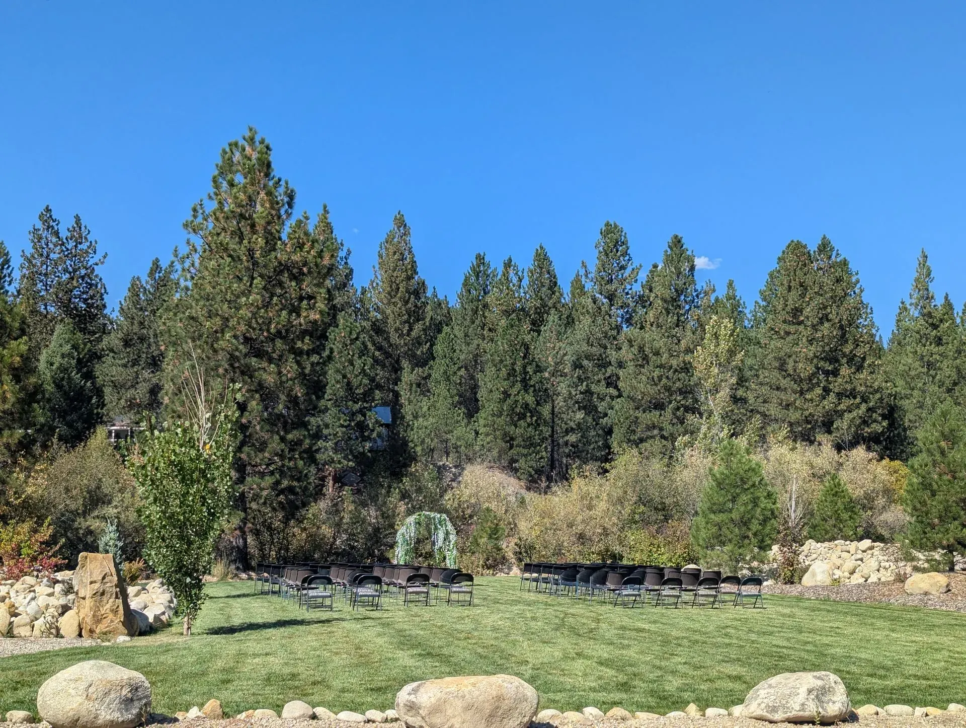 Lush green lawn with chairs set up for an event, against a backdrop of tall trees under a clear blue sky.