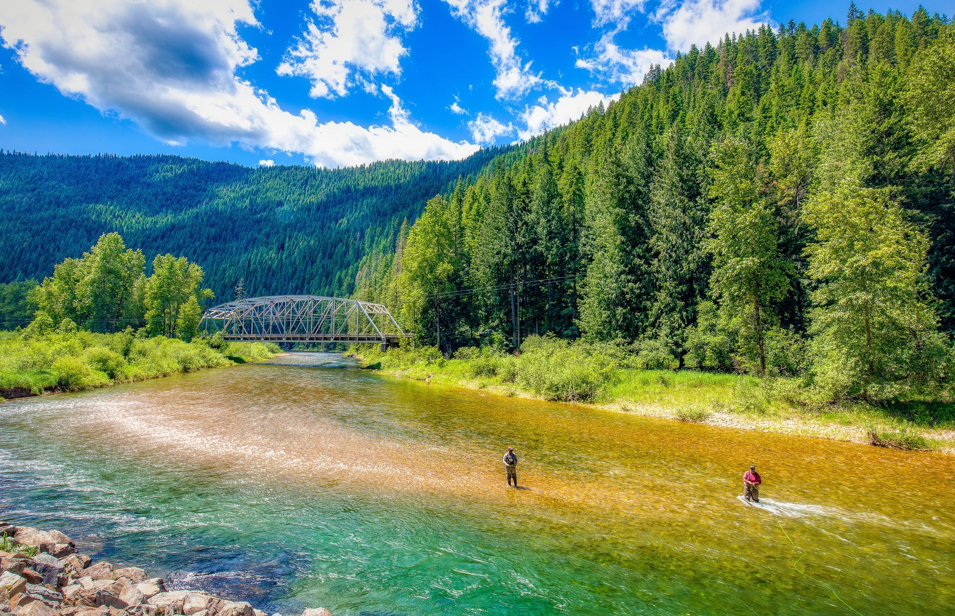 Turquoise river beside evergreen forest and distant bridge under a bright blue sky with clouds