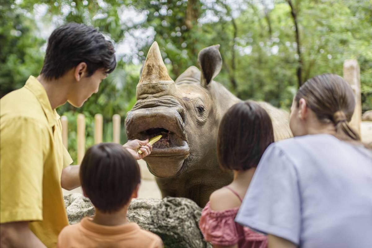 Children feed a rhinoceros statue at an outdoor zoo exhibit