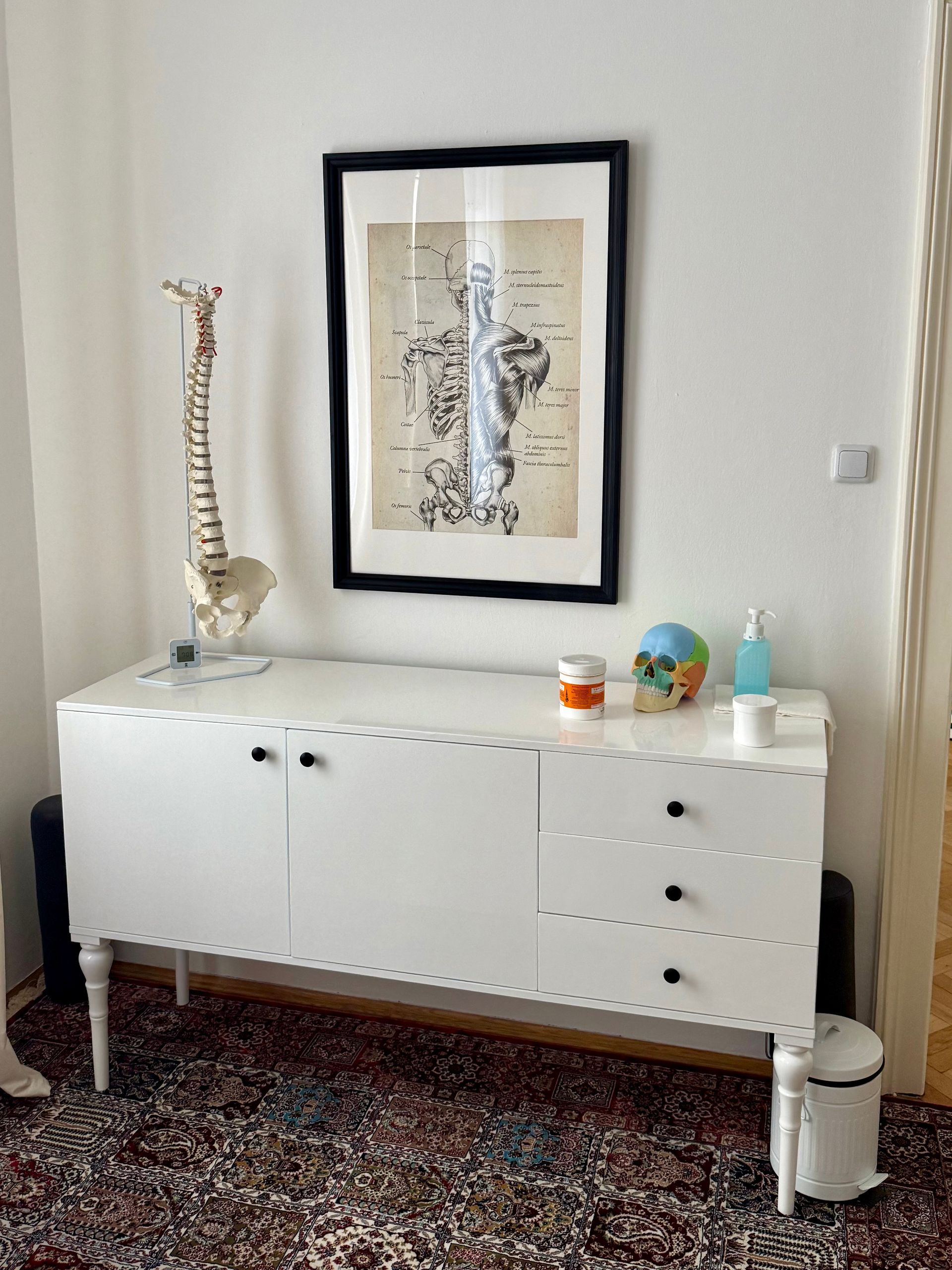 White cabinet with drawers under a framed anatomical print, with a spine model and small objects on top.