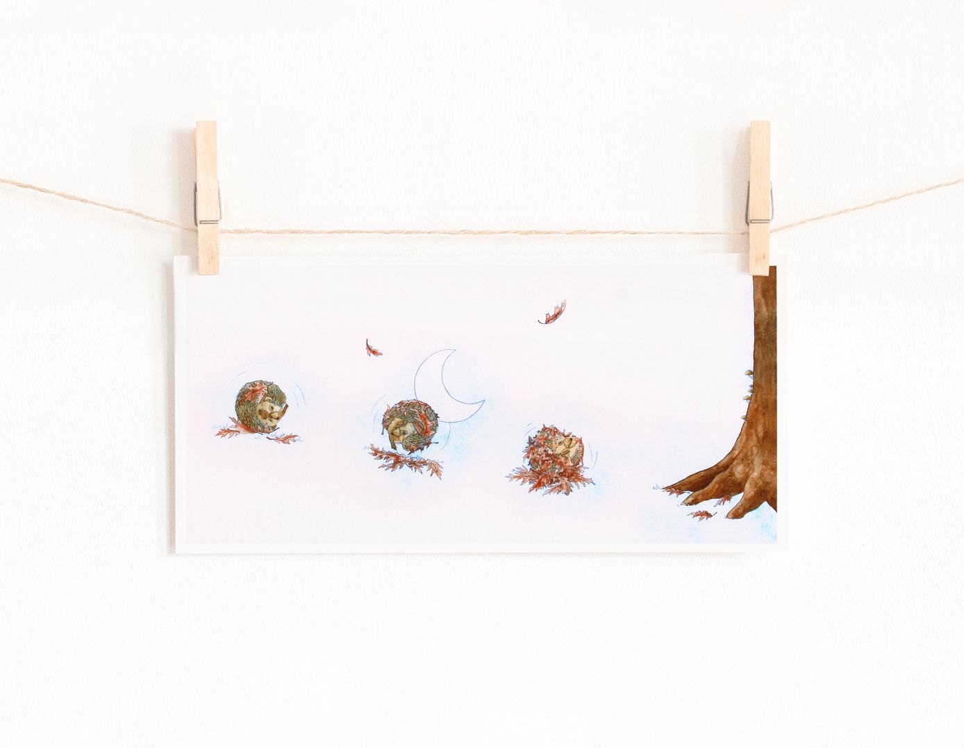 Hedgehog Tumbles Fine Art Print