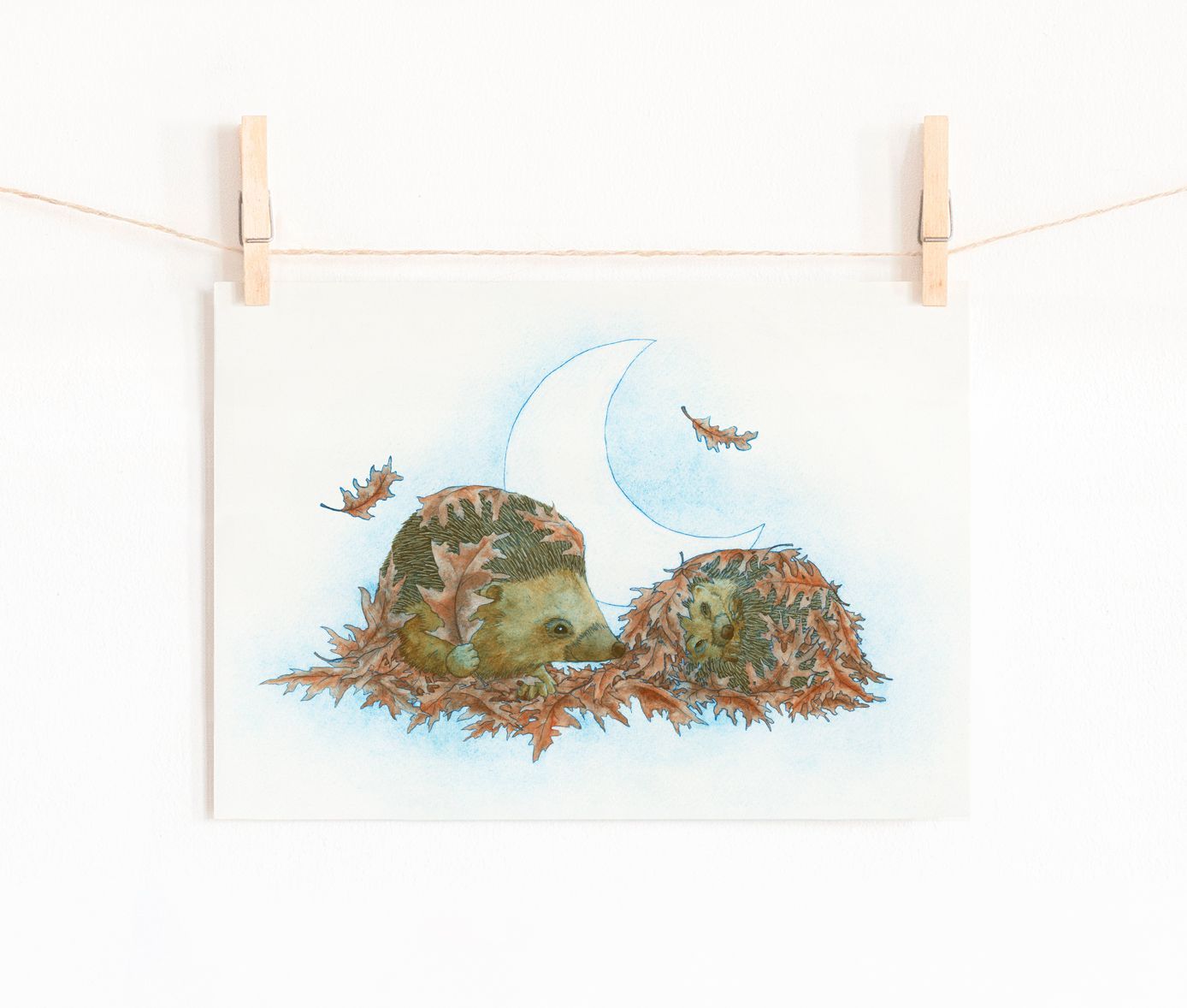 Hedgehogs Hide Fine Art Print