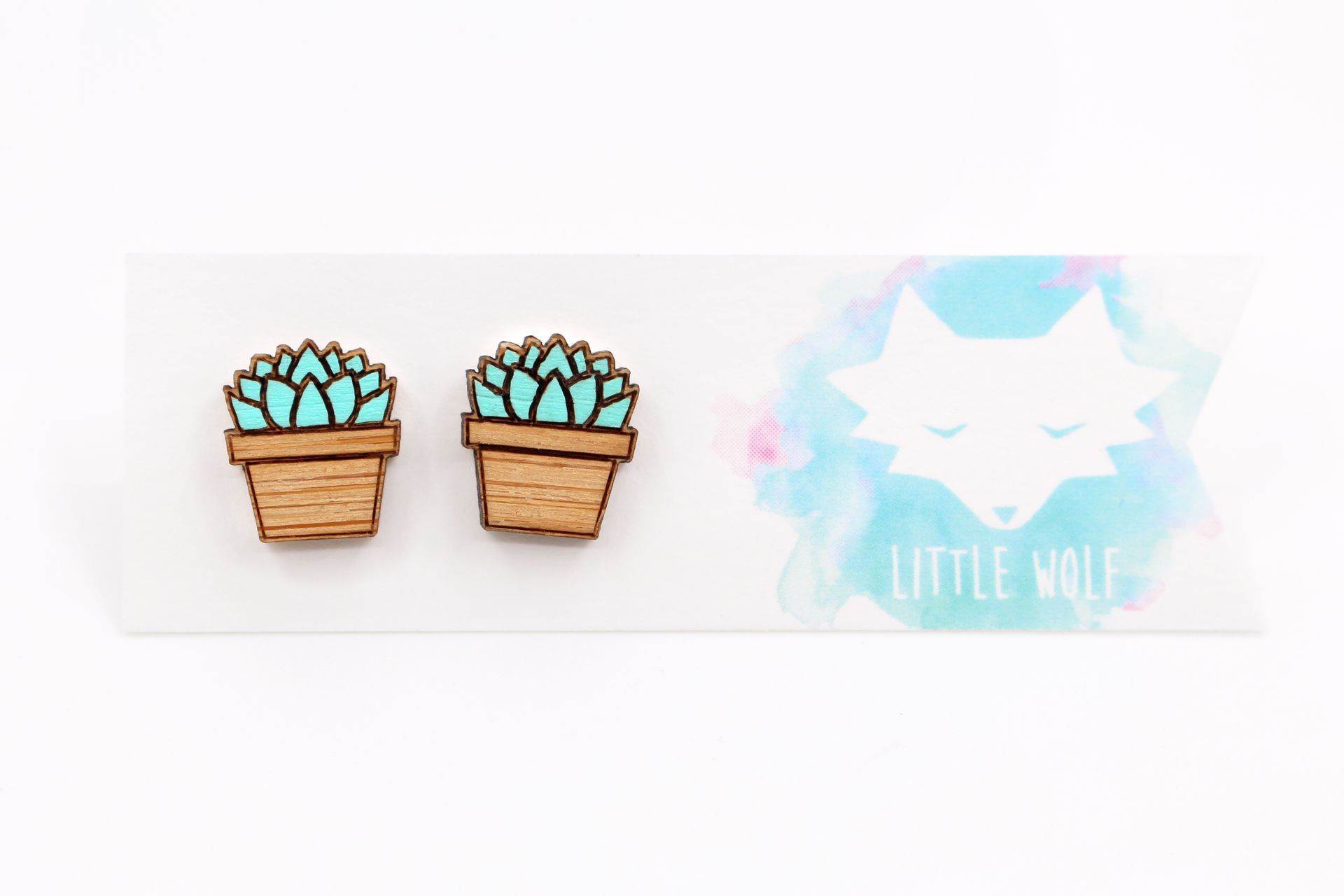 Succulent Pot Plant Earrings