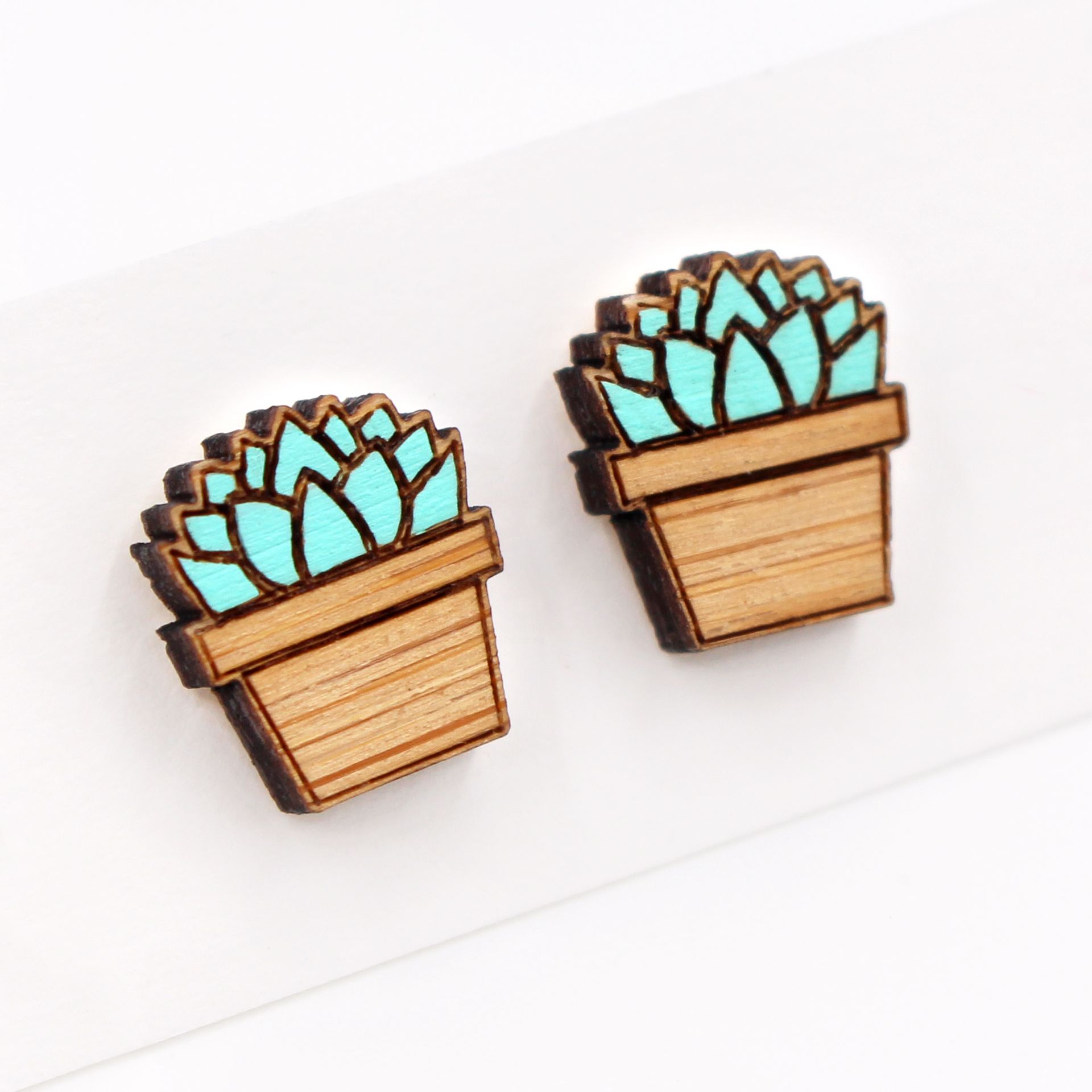 Succulent Pot Plant Earrings