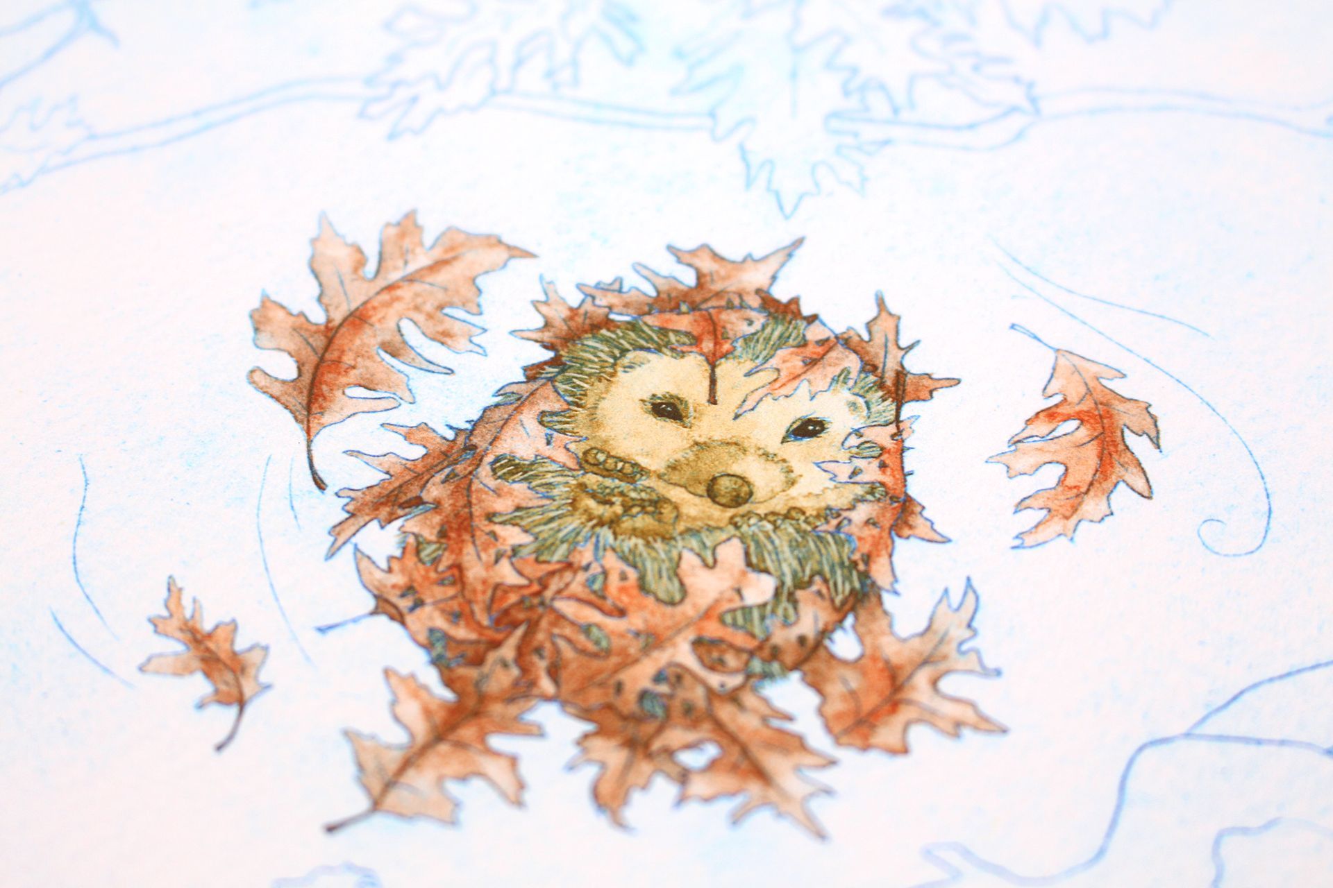 Sleepy Autumn Hedgehog Fine Art Print
