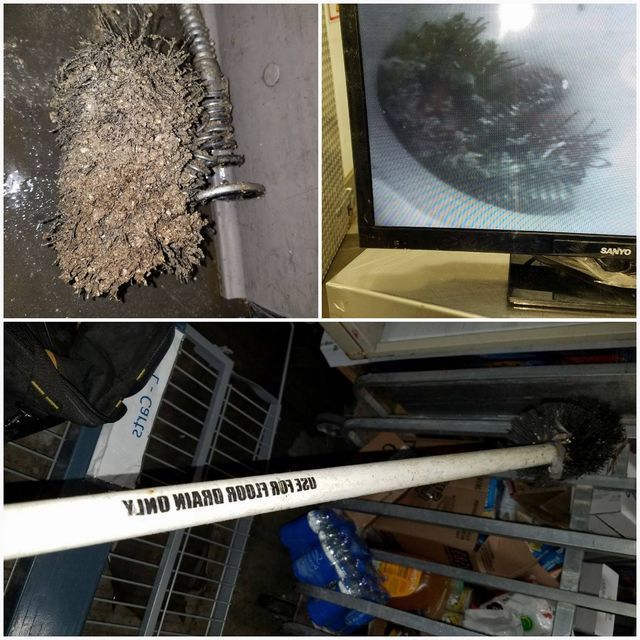 White pipe, TV screen, and floor all show a large spiky bug or centipede-like creature indoors.