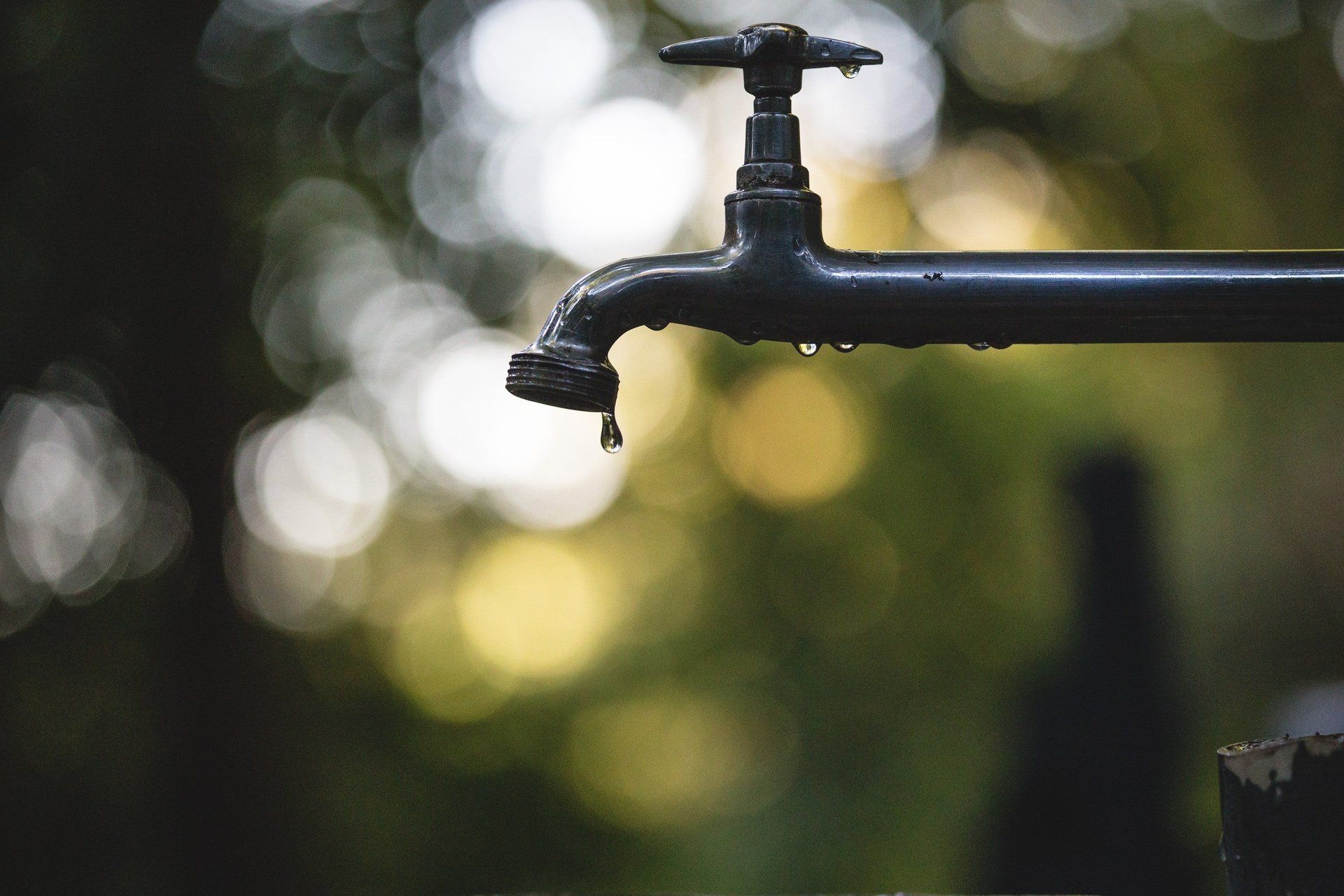 Black outdoor faucet with a dripping spout against a blurred green background