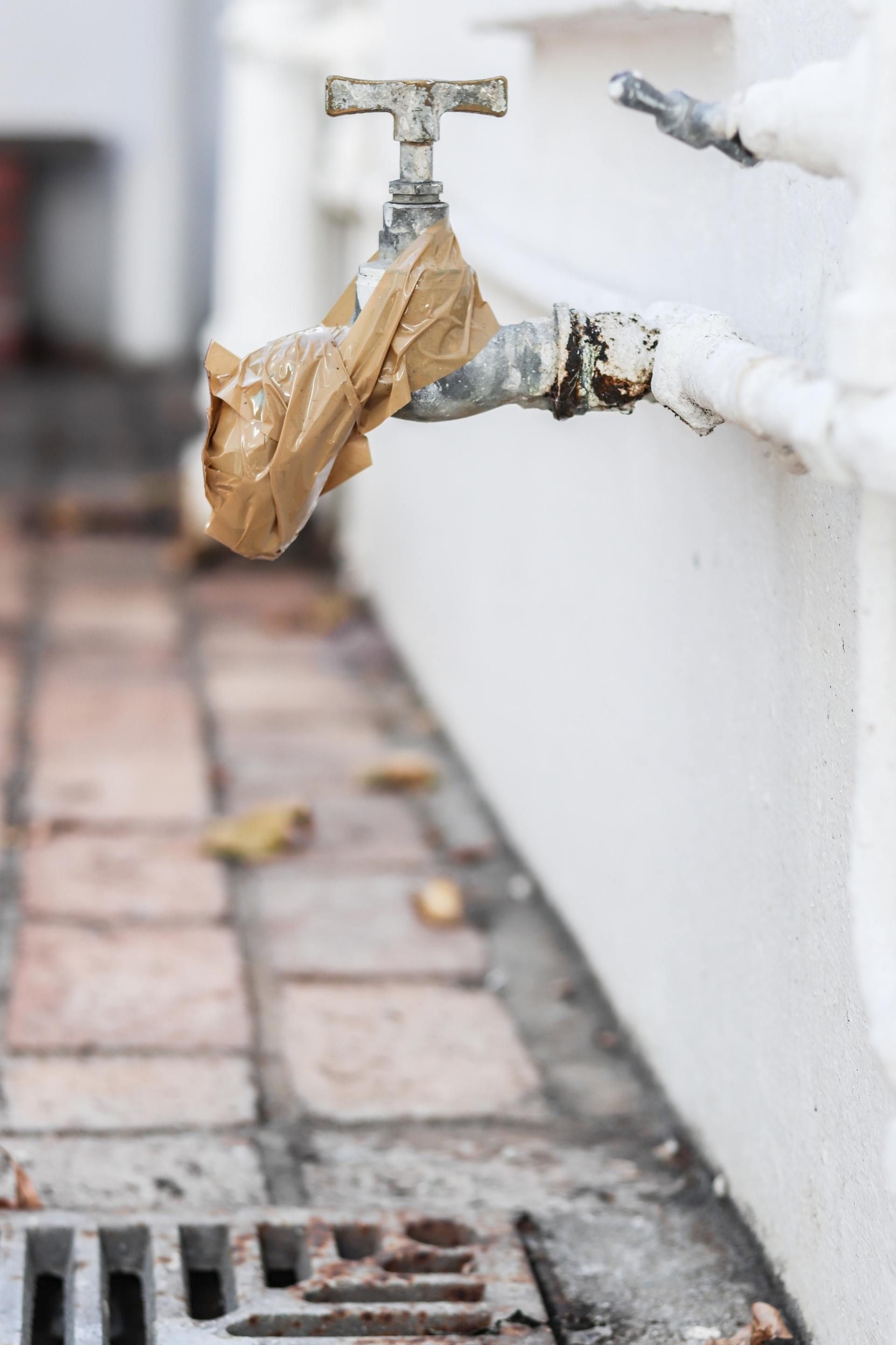 Plastic bag caught on an outdoor faucet beside a white wall and brick sidewalk