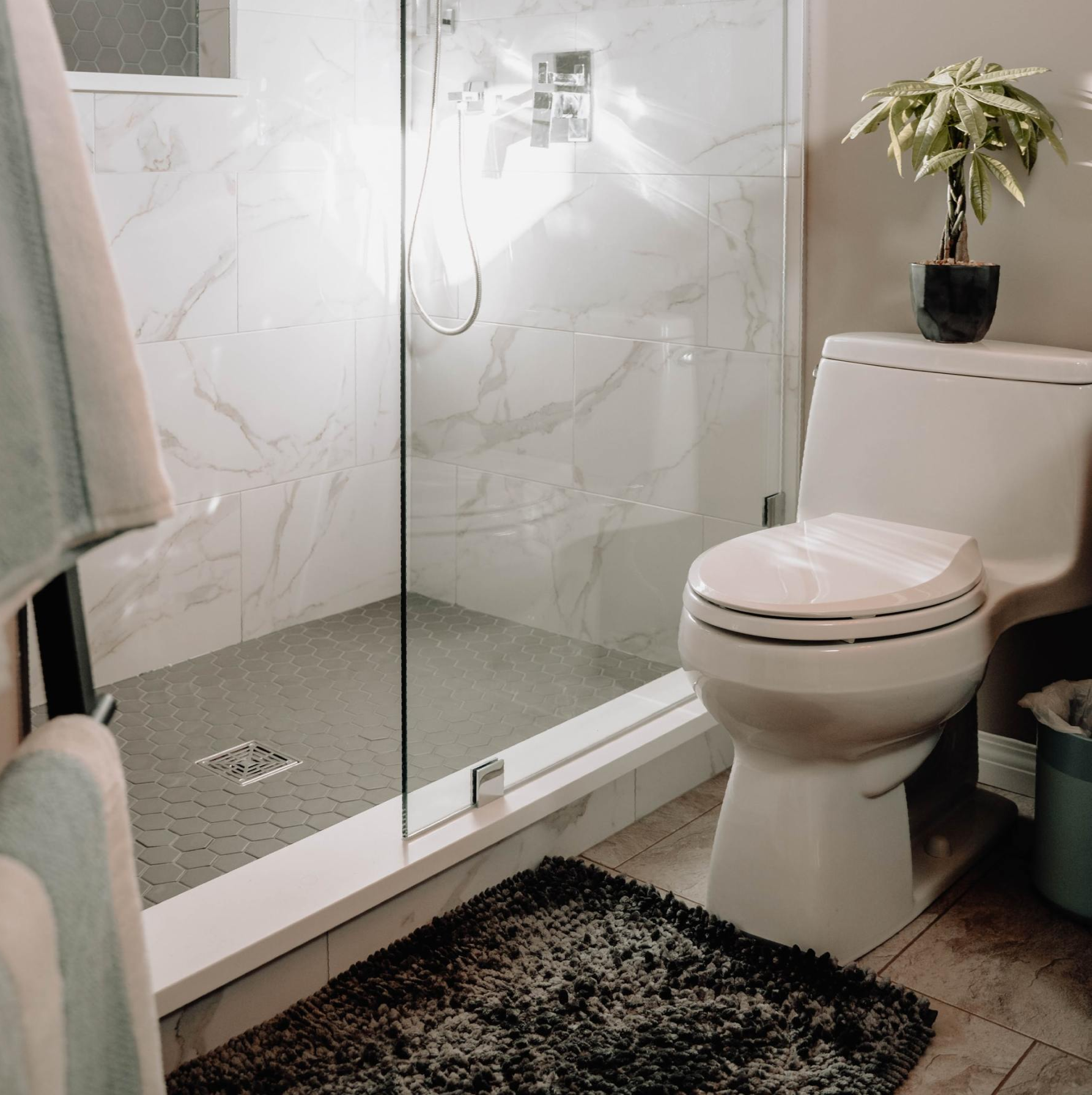 Modern bathroom with glass shower, white toilet, and small plant on a tank cover.