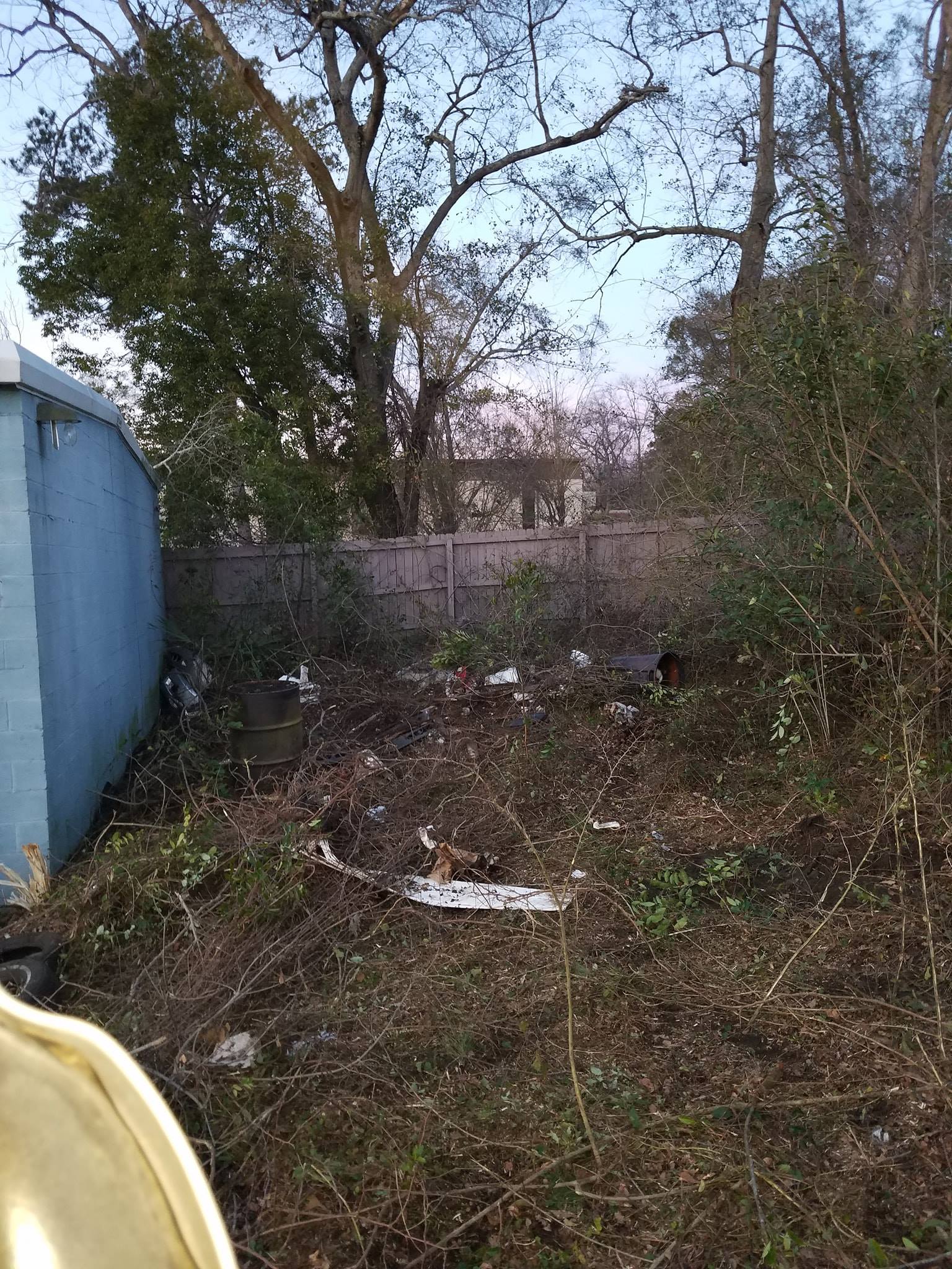 Overgrown vacant lot with debris, trees, and a blue building wall on the left at dusk