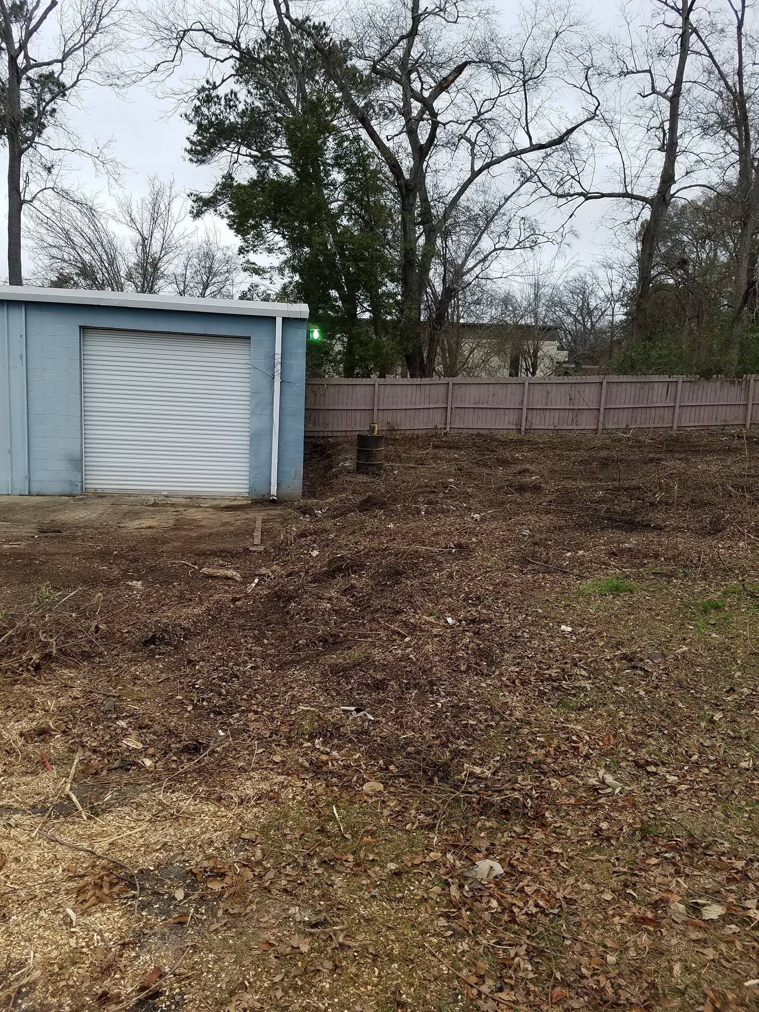 Bare yard with leafless trees, a blue shed on the left, and a wooden fence in the background.