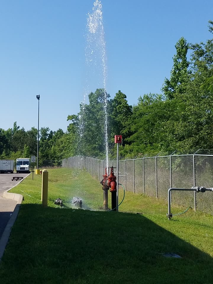 Person using a water fountain spray beside a grassy path and chain-link fence on a sunny day