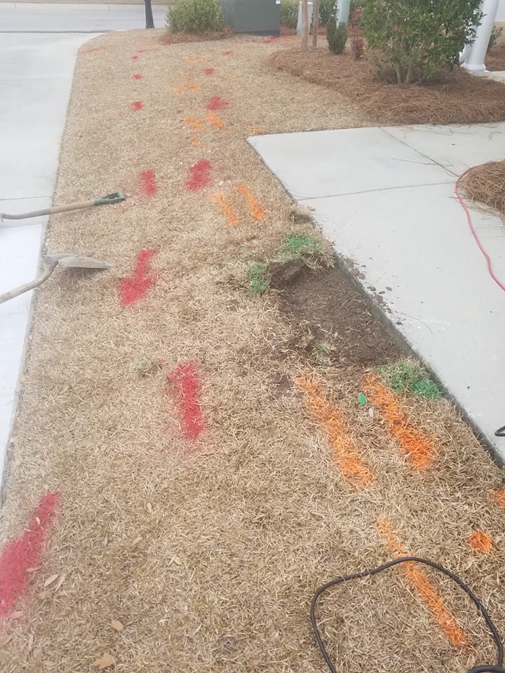 Front yard grass with red and orange spray paint markings near a sidewalk and small shrub removal area