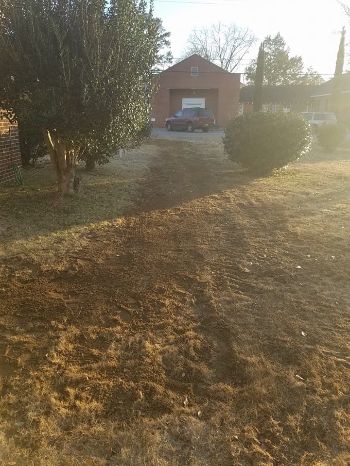 Sunlit dirt driveway leading to a brick house with a parked white car, framed by trees and bushes