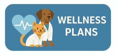 Dog and cat vet