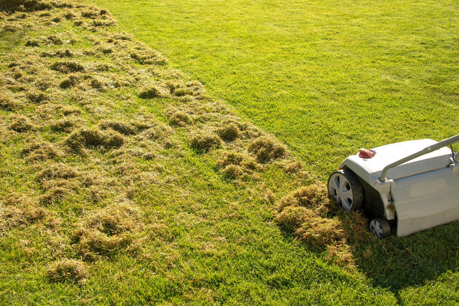 Lawn Scarifier — Stewartville, MN — Complete Outdoor Service LLC
