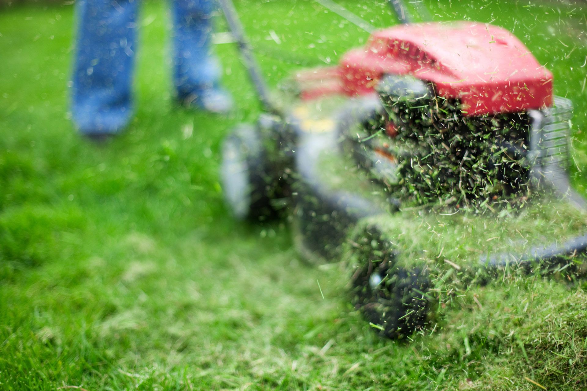 Cutting Lawn — Stewartville, MN — Complete Outdoor Service LLC
