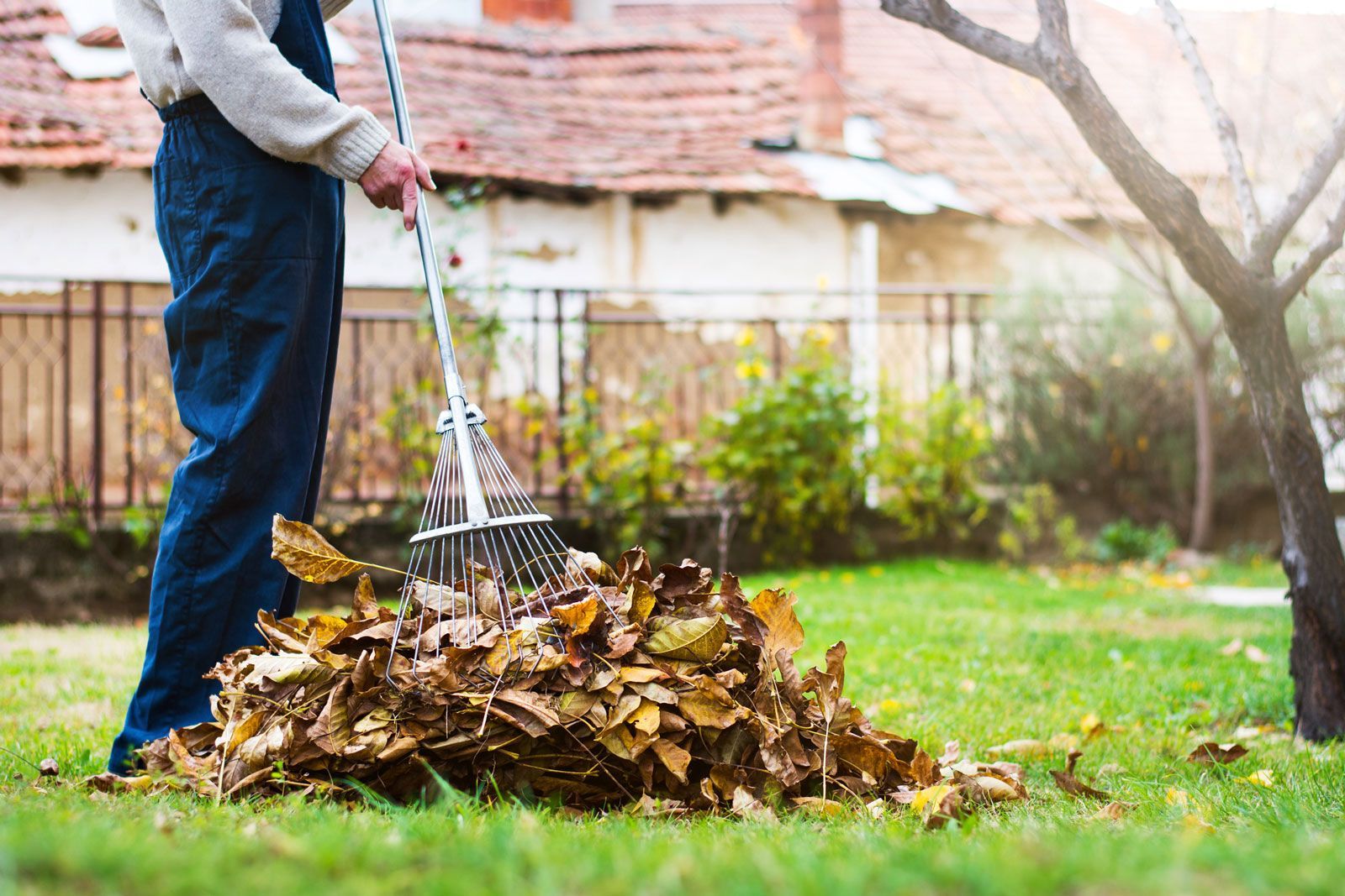 Fallen Autumn Leaves — Stewartville, MN — Complete Outdoor Service LLC