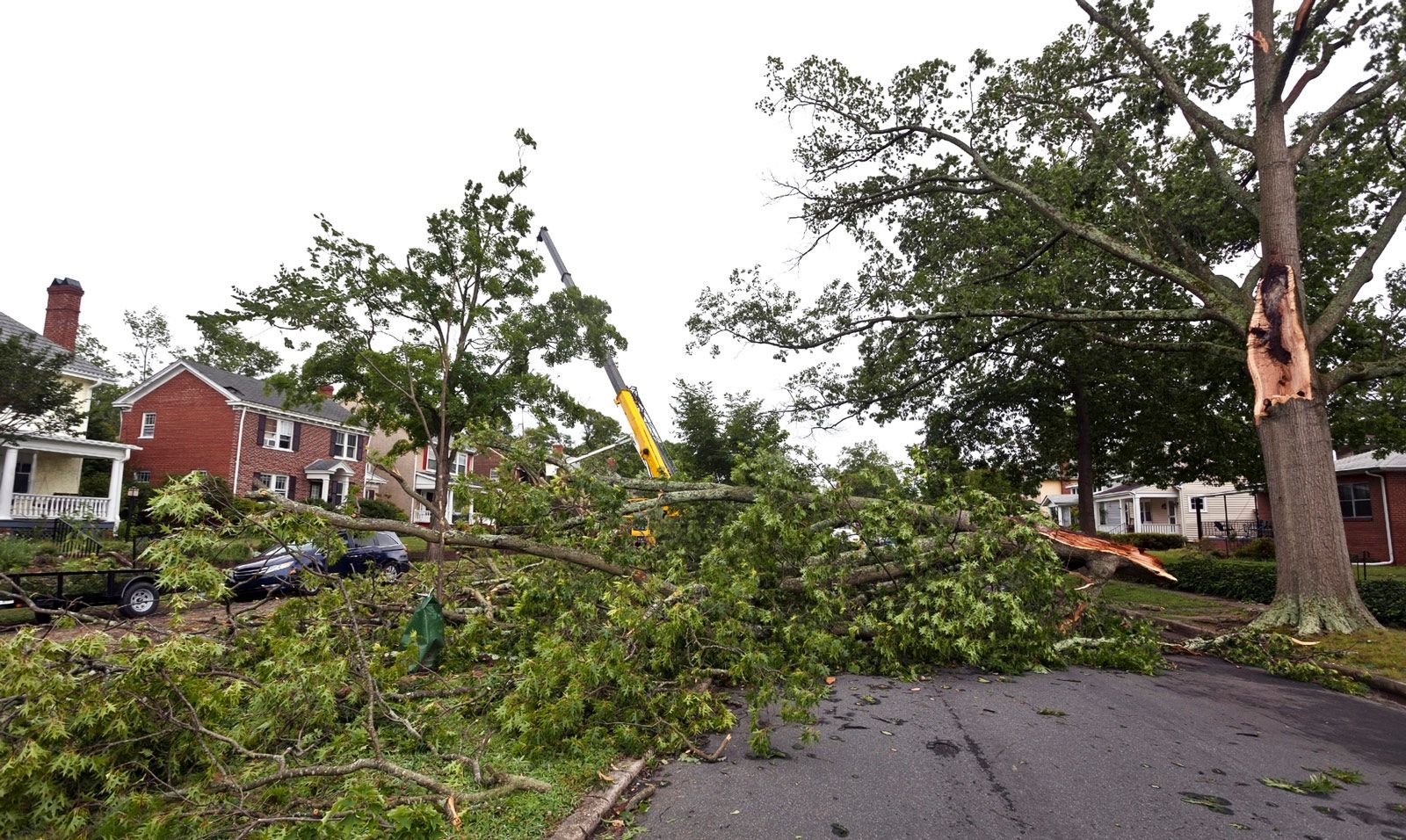 Neighborhood Storm Damage — Stewartville, MN — Complete Outdoor Service LLC