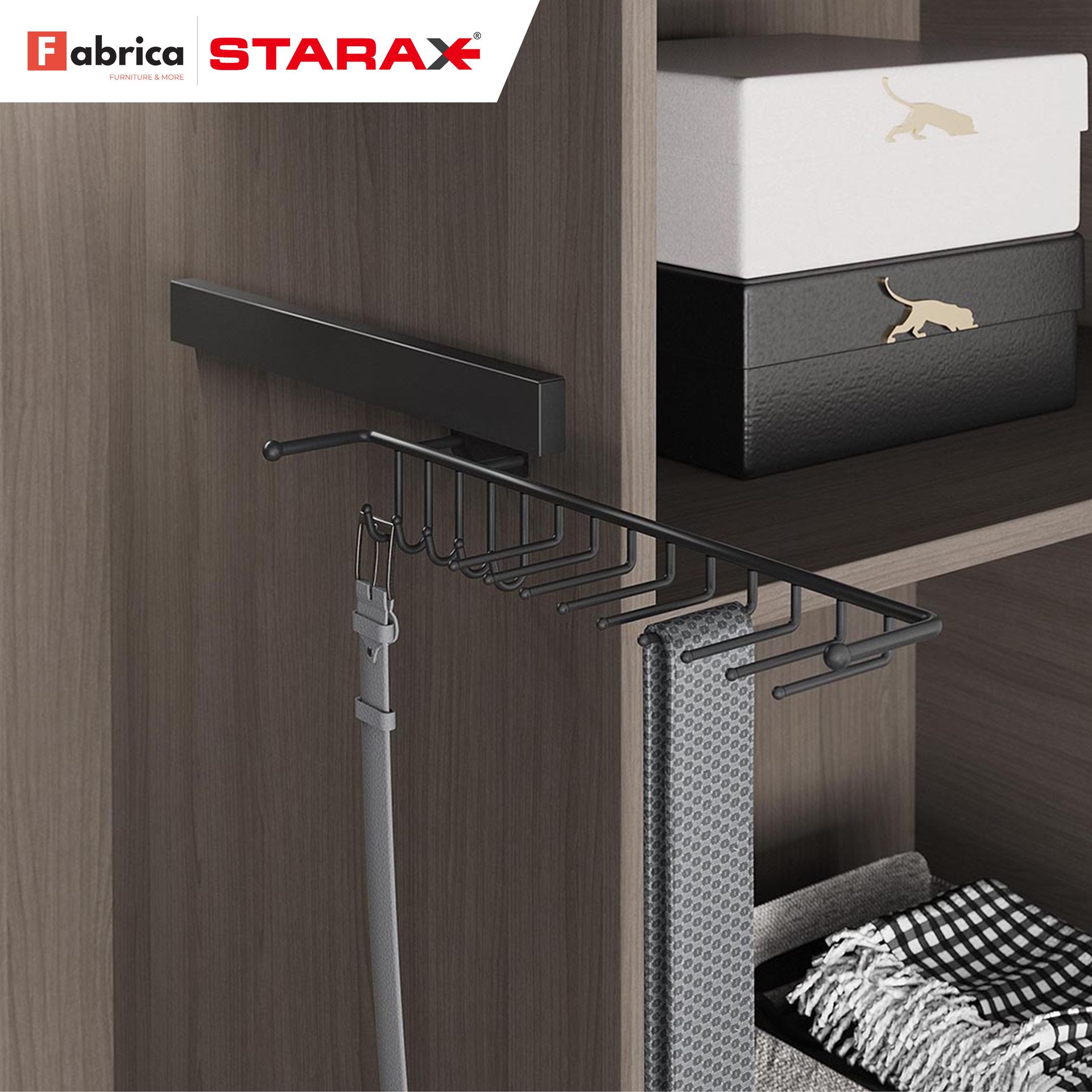 A closet with a belt rack and a tie rack.