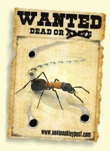 A wanted poster with an ant on it