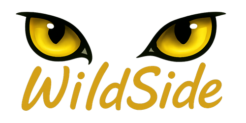 Wildside Online Logo