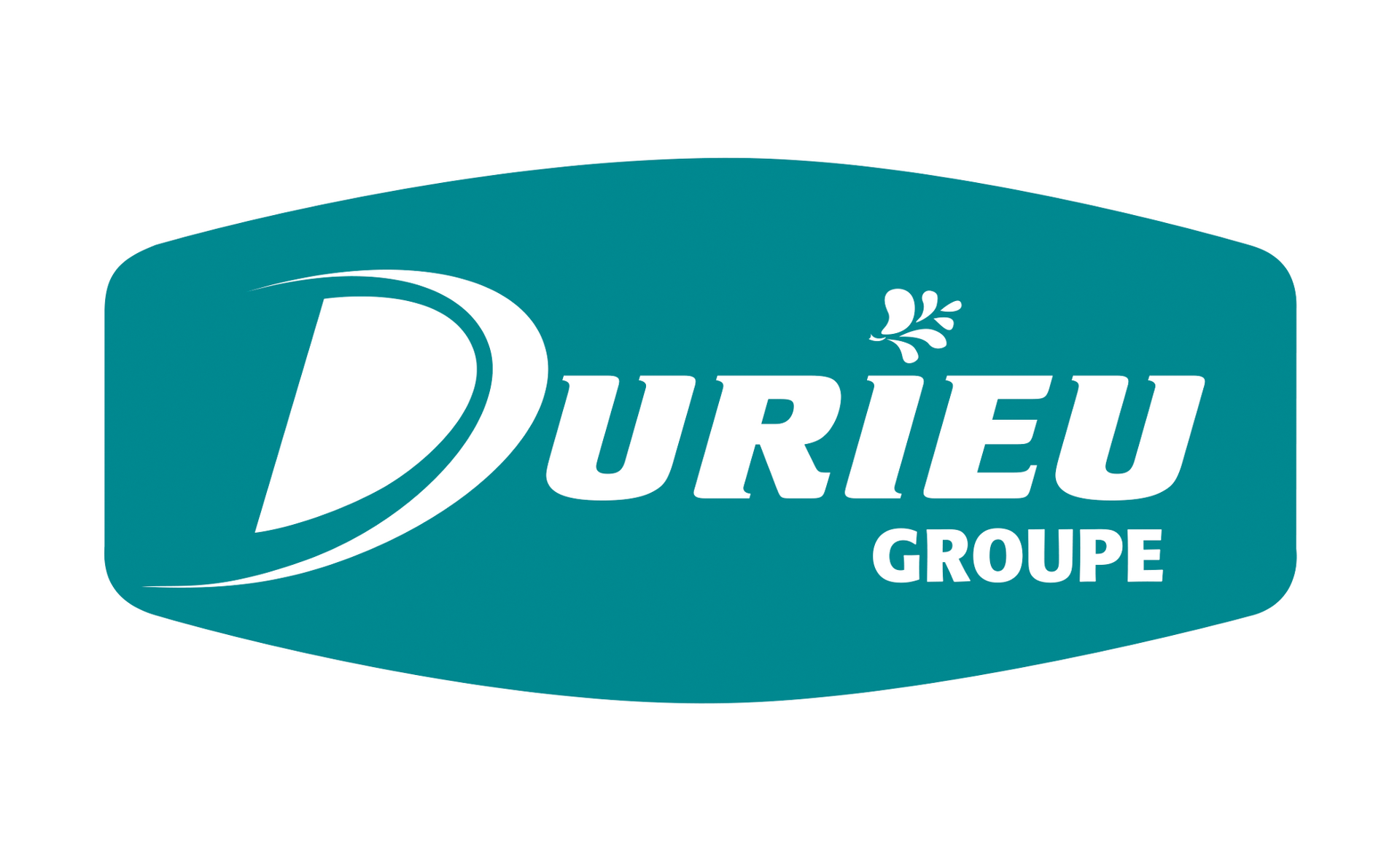 Un logo bleu et blanc pour une entreprise appelée durieu groupe