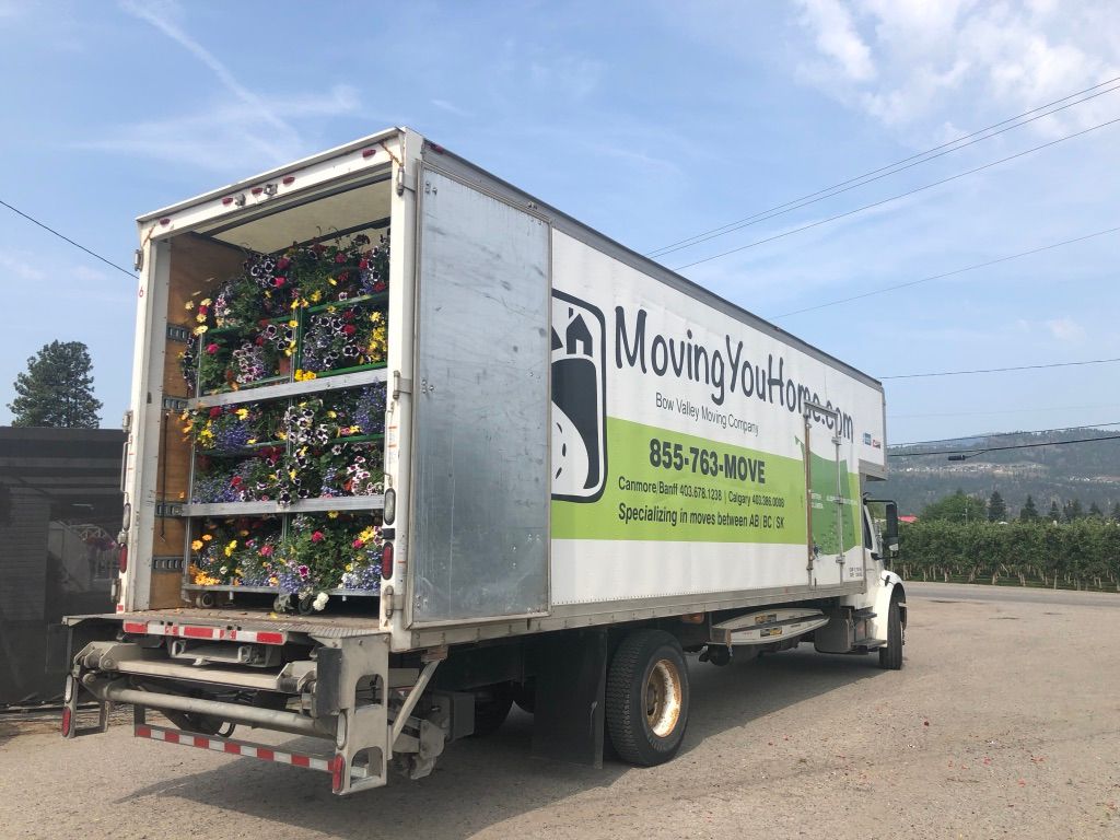 A moving truck with flowers in the back is parked in a parking lot.