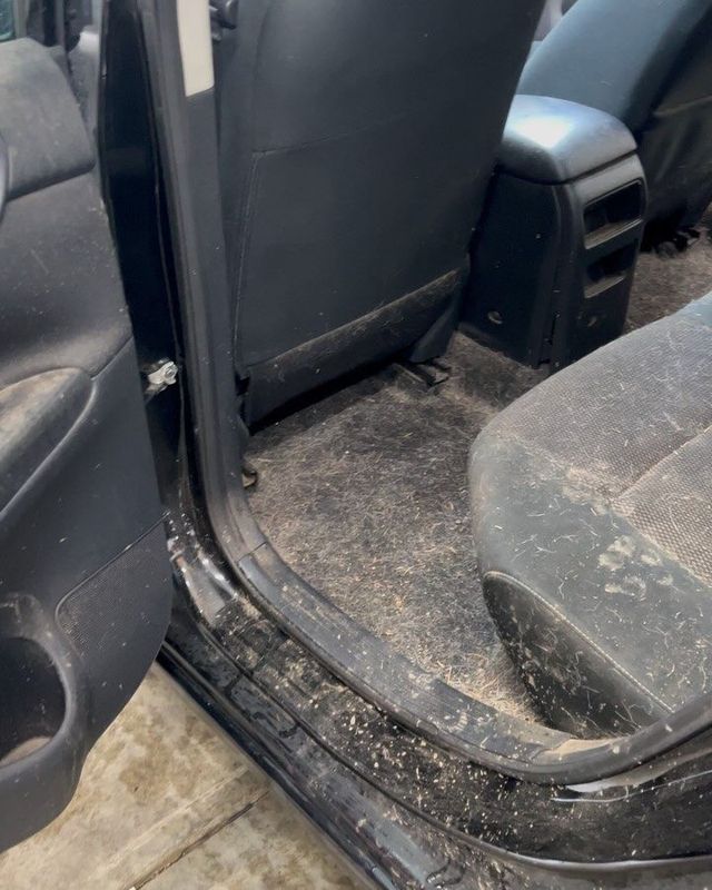 Rear floor before a shampoo interior detail — dirty carpet