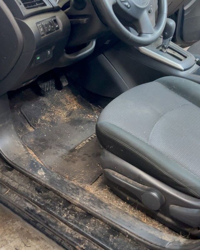 Driver seat before a shampoo interior detail — stained cloth seat