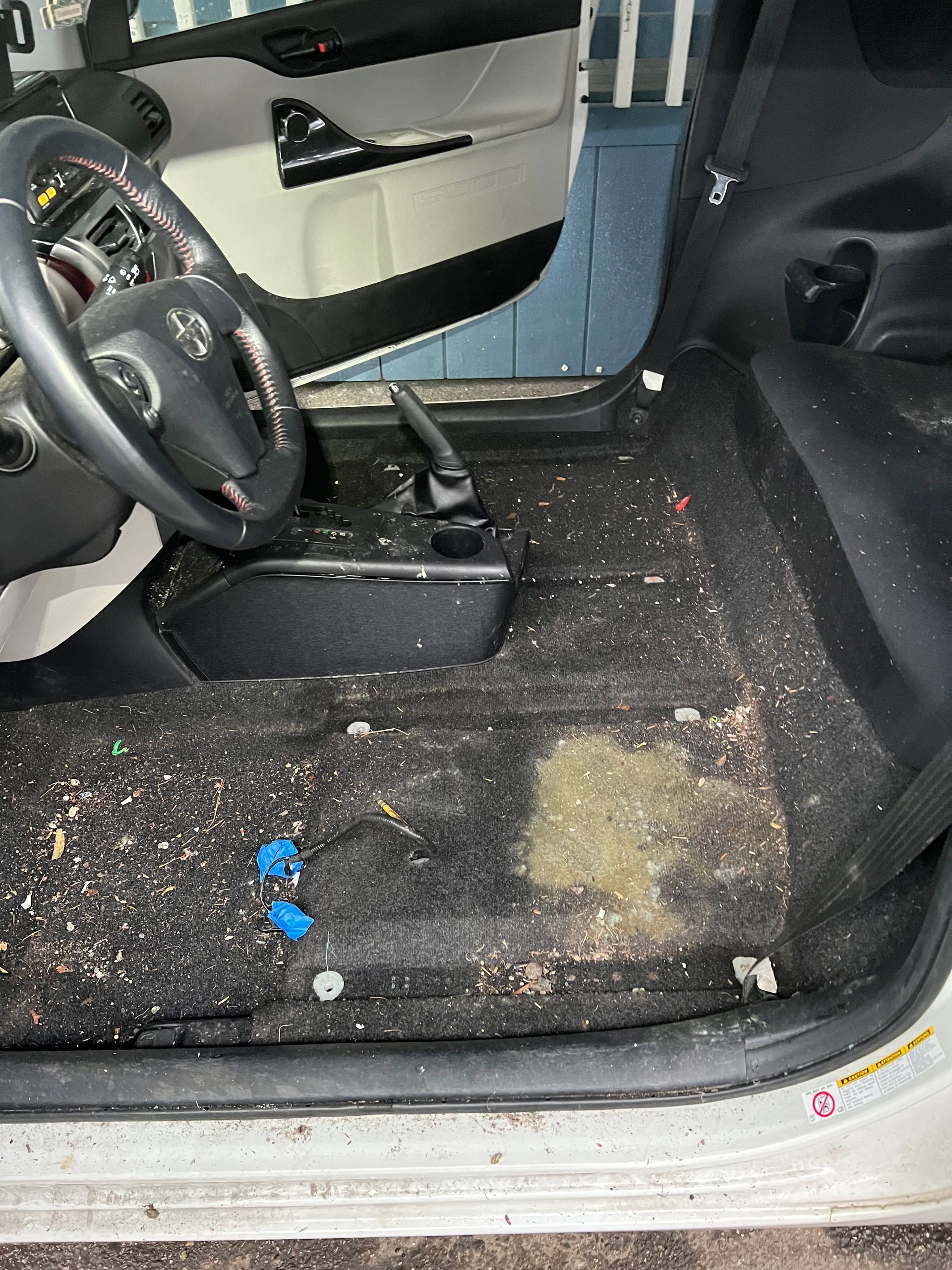 Moldy, debris-covered car carpet before A1 Auto Detailing mold removal in Lynnwood, WA