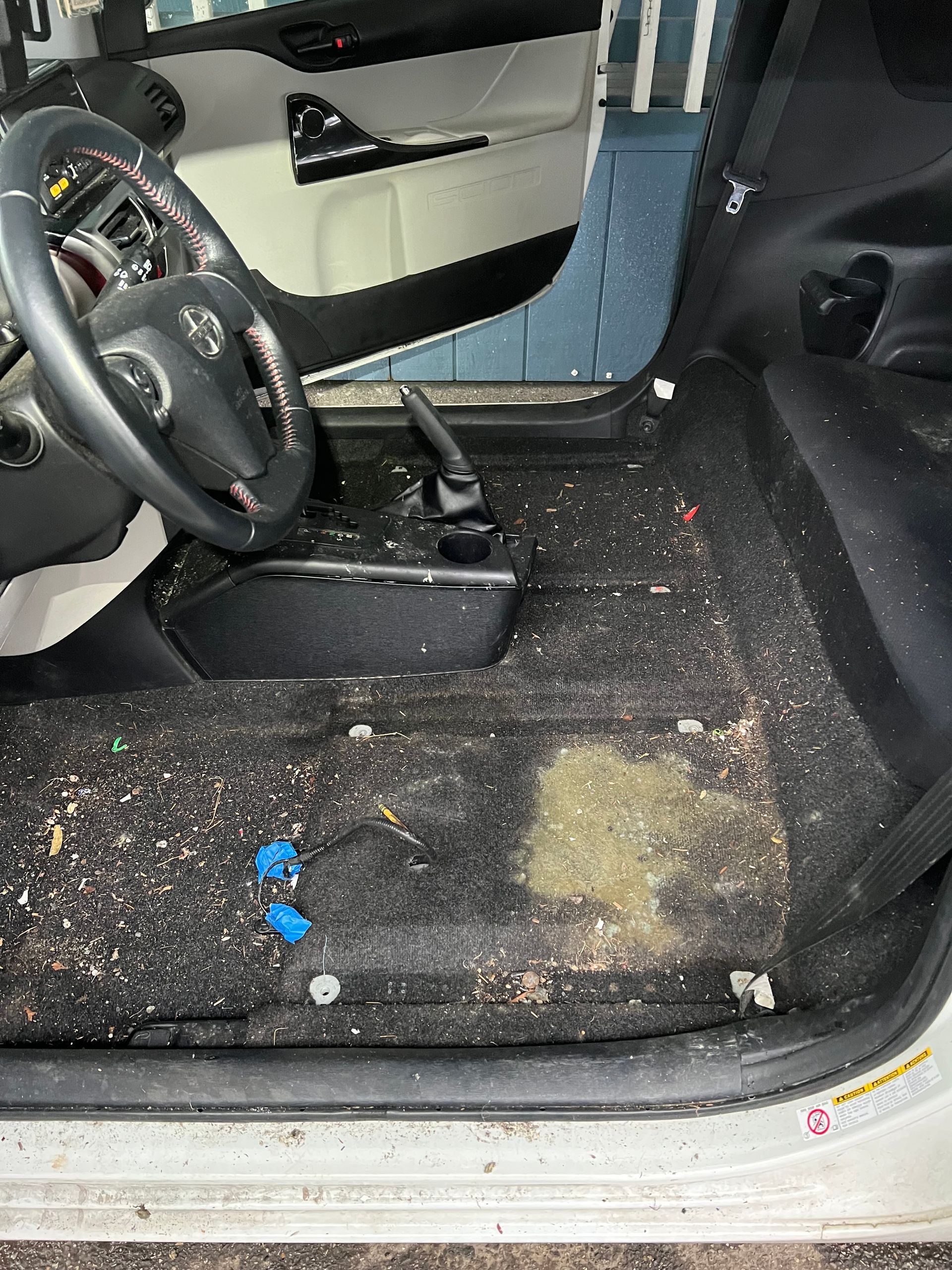 Before: mold and debris across the carpet and floor of a customer vehicle