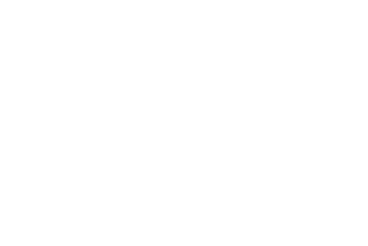 Pinewood Village Logo