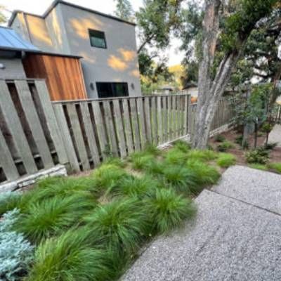 A wooden fence surrounds a lush green garden in front of a house.