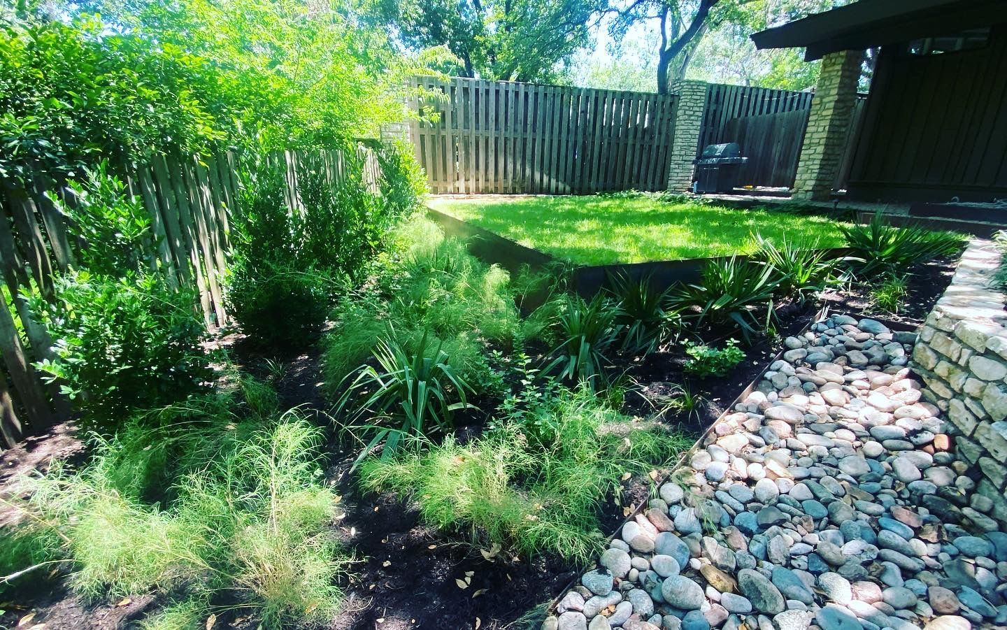 A backyard with a stone walkway leading to a house.