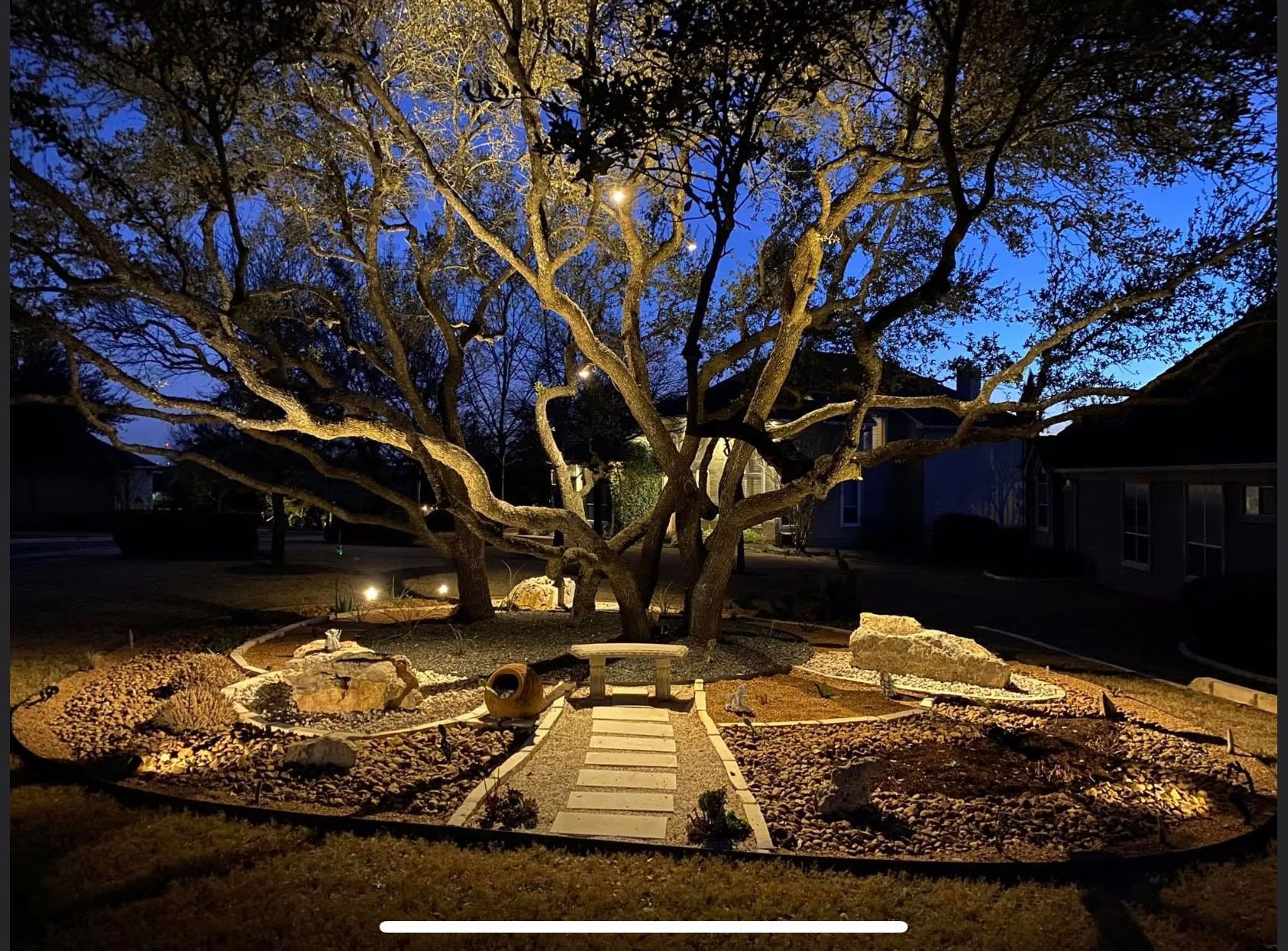 A tree in a yard is lit up at night.