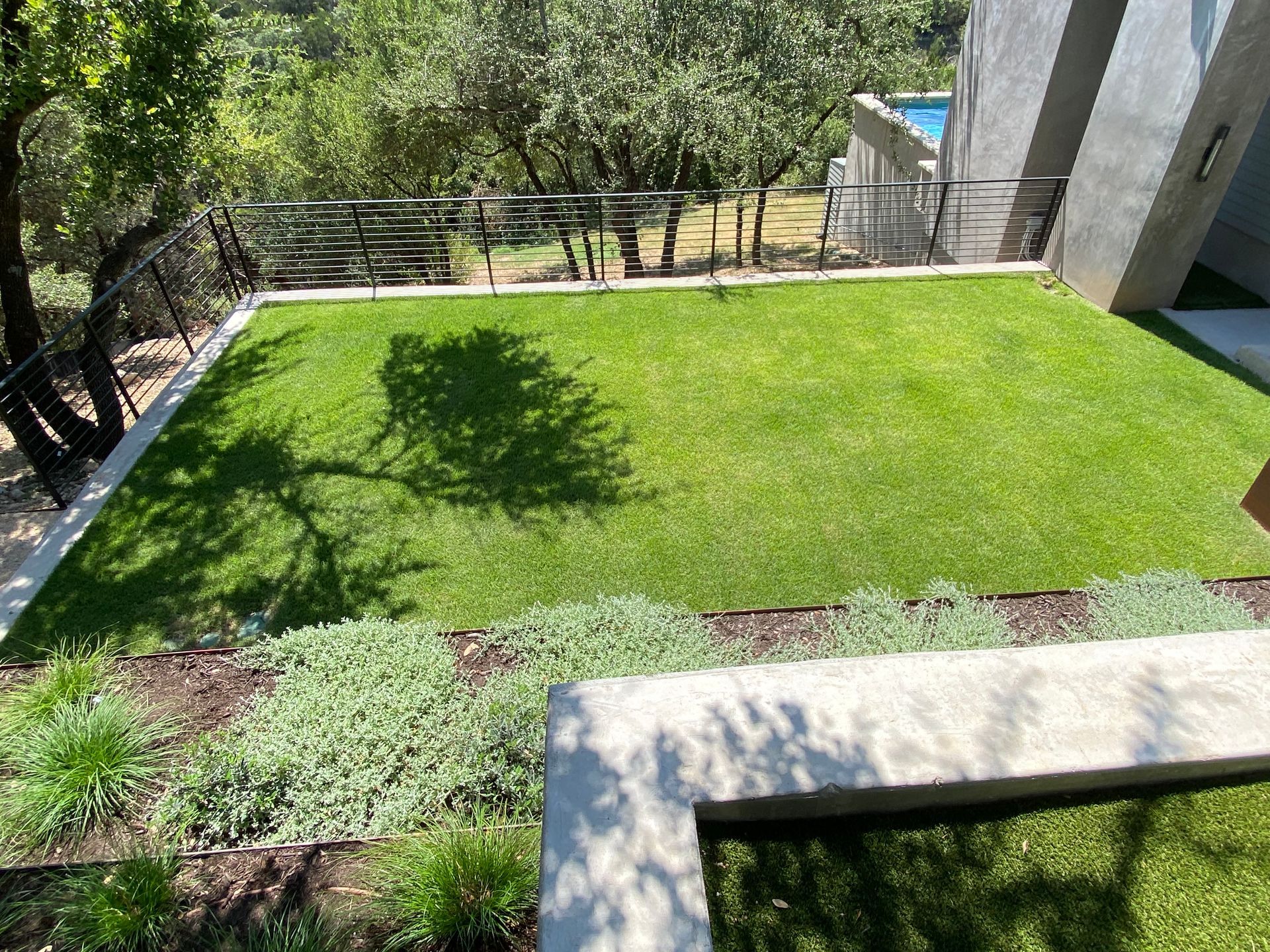 A lush green lawn with trees in the background and a bench in the foreground.