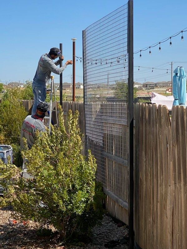 A man is standing on a ladder next to a wooden fence.