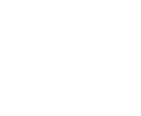 WildSide Mints logo
